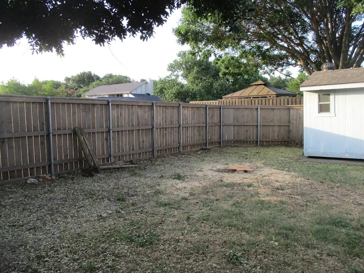 Cleared yard after professional tree removal in Cottage Grove