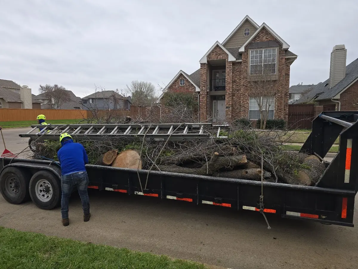 Expert Tree Removal with proper safety equipment in Cottage Grove